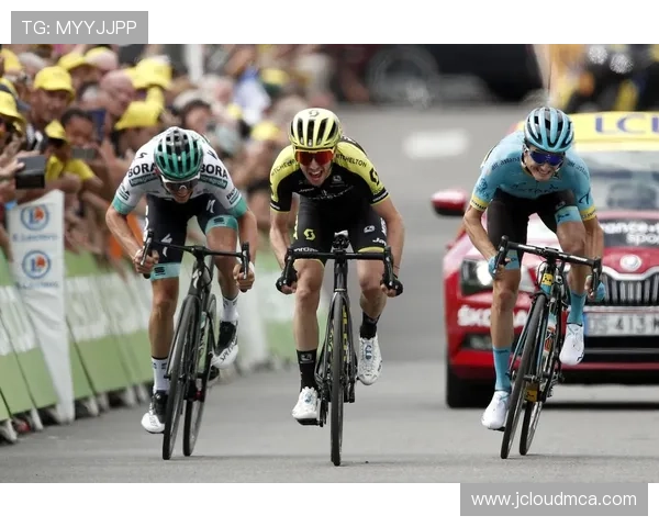 1941年环法自行车赛（1982环法自行车赛）sports