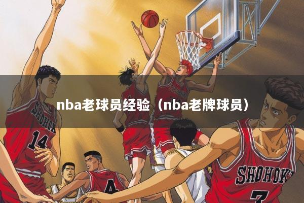 nba老球员经验（nba老牌球员）