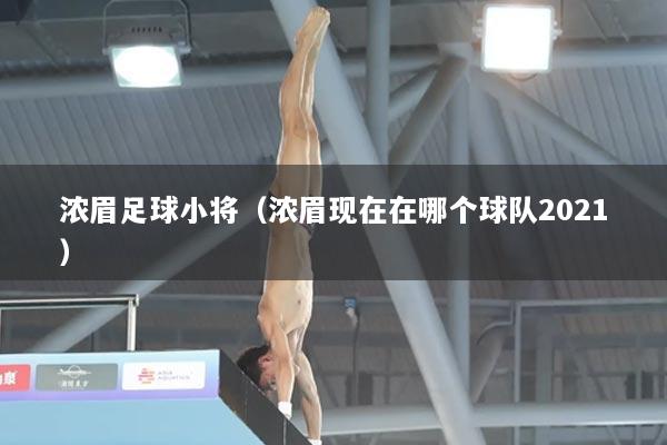 浓眉足球小将（浓眉现在在哪个球队2021）