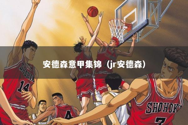 安德森意甲集锦（jr安德森）