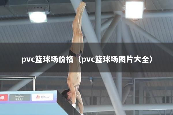 pvc篮球场价格（pvc篮球场图片大全）